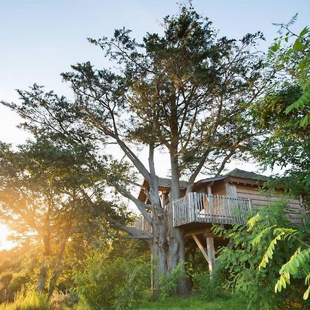La Gree Des Landes - Eco-Hotel-Spa Yves Rocher ラ・ガシイ エクステリア 写真