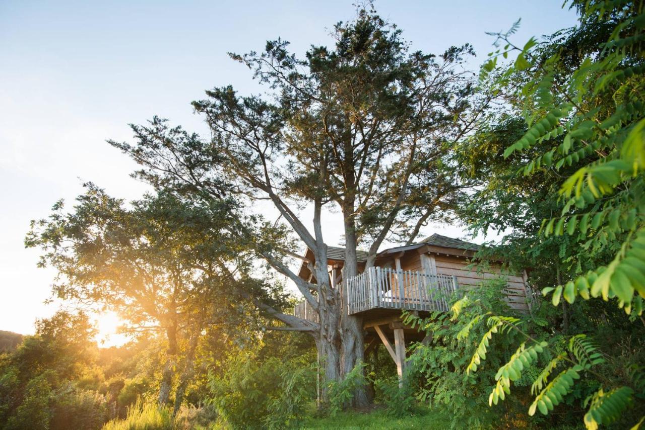 La Gree Des Landes - Eco-Hotel-Spa Yves Rocher ラ・ガシイ エクステリア 写真